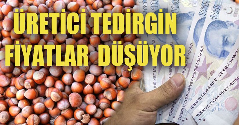 Fındık Fiyatları Tepetaklak