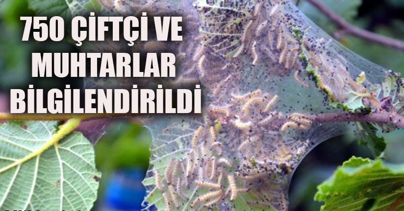 Mücadeleye 70 bin lira harcandı