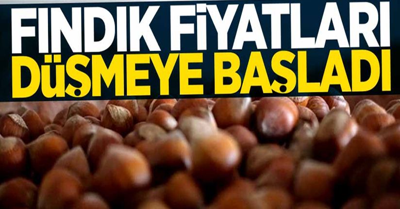 Fındık fiyatları düşüşünü sürdürüyor