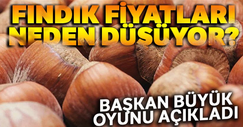 Bayraktar, fındık fiyatının düşüş nedenlerini açıkladı