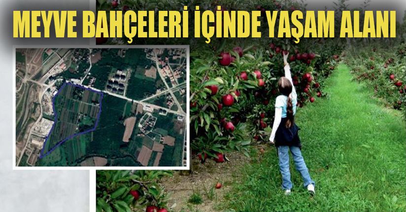 Mergiç Park Düzce'nin Akciğerleri Olacak