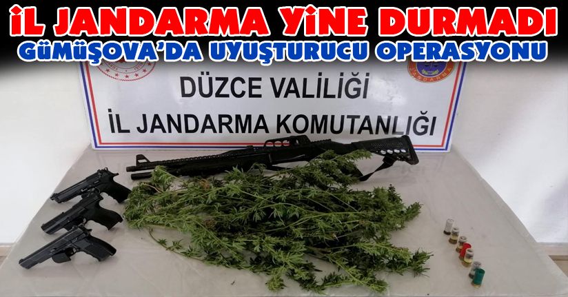 Jandarmadan uyuşturucu operasyonu
