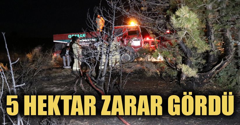 Bolu’da, örtü yangınında 5 hektarlık alan zarar gördü