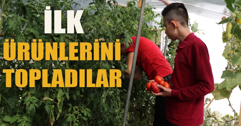 Meslek lisesi öğrencileri okul bahçelerine akıllı sera kurdu