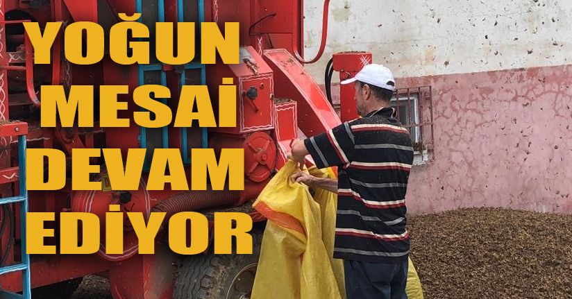 Patozcular bu yıl mutlu