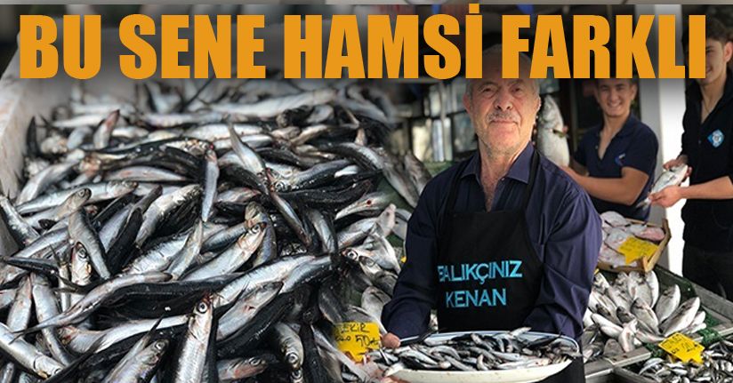 Balıkçı Kenan Balcı: 'Son 10 yılda bulunmayan uzunlukta hamsi tutuyoruz'