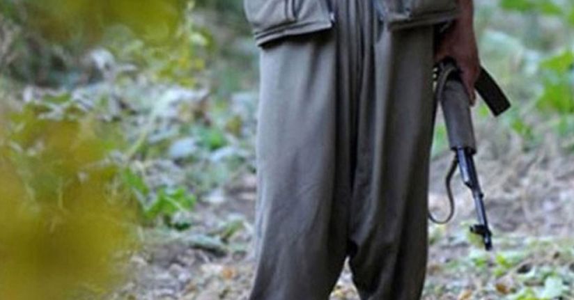 Bitlis'te 2 terörist etkisiz hale getirildi