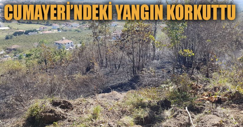 Fındıklık yangını anında müdahale ile söndürüldü