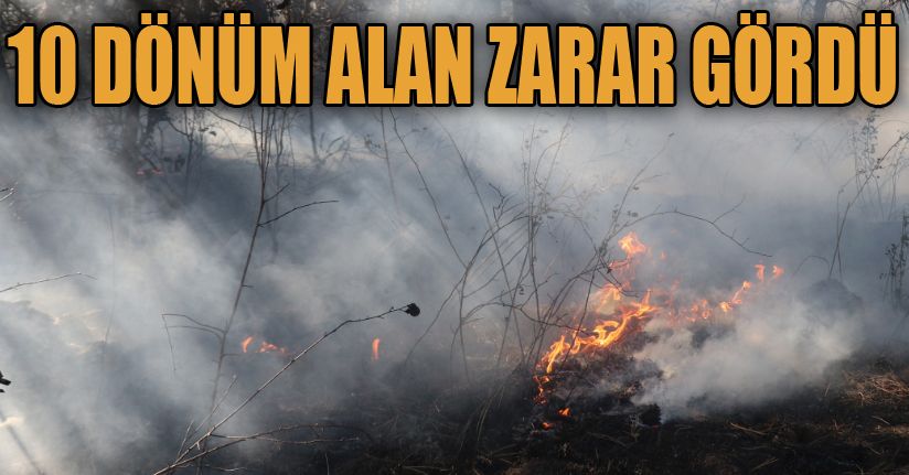 Bolu’da orman yangınında 10 dönümlük alan zarar gördü