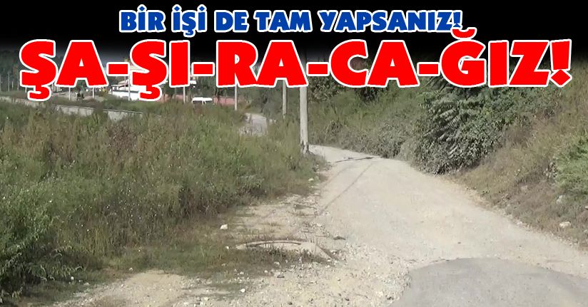 Alternatif yol diyoruz var ama yapmıyoruz