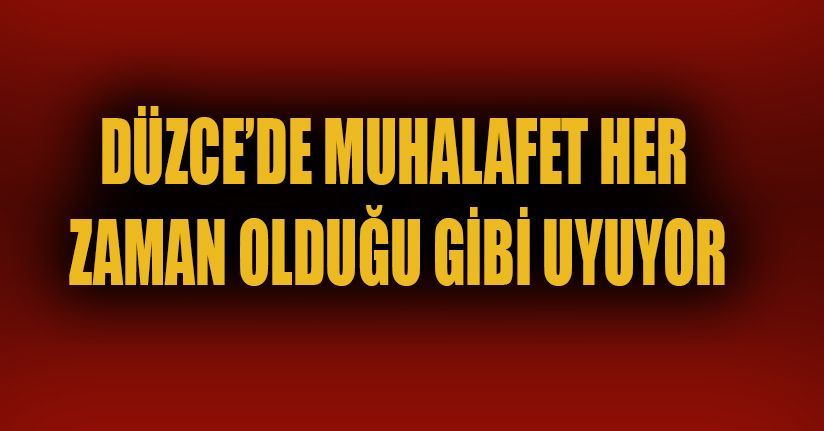 Düzce ölüyor, muhalefet uyuyor