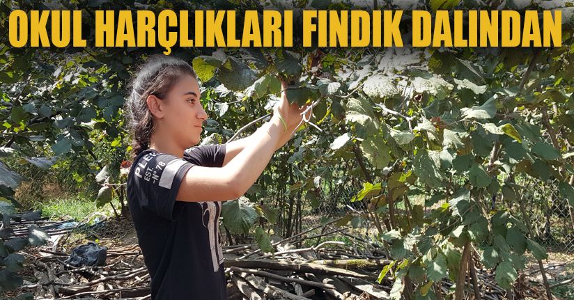 Kilometrelerce uzaktan okul harçlıklarını biriktirmek için geldiler