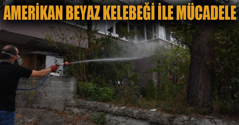 Konuralp Bölgesinde İlaçlama Yapıldı