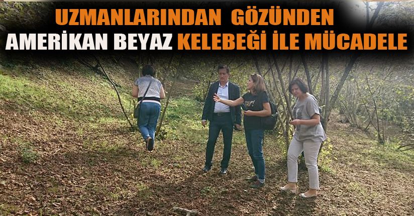 D�ZCE AK PARTݒDE SE��M HEYECANI 