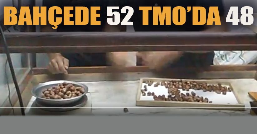TMO Üreticinin ümidiydi