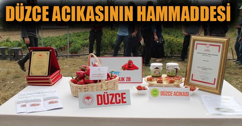 Kapya Biber Tarla Günü etkinliği düzenlendi