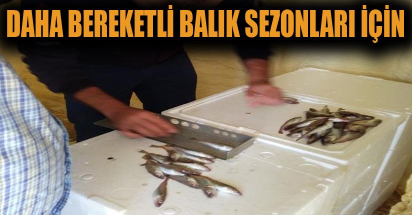 Su ürünlerine denetim