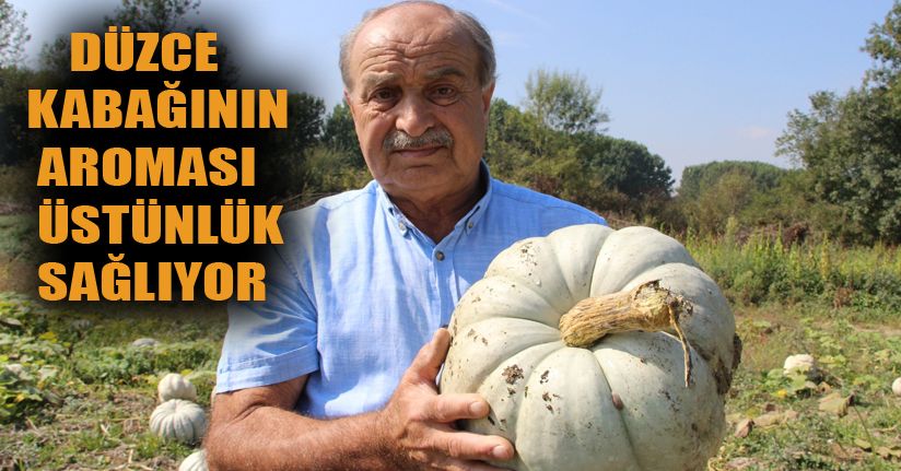 Bal Kabağı üreticisi fiyatın yükselmesini bekliyor