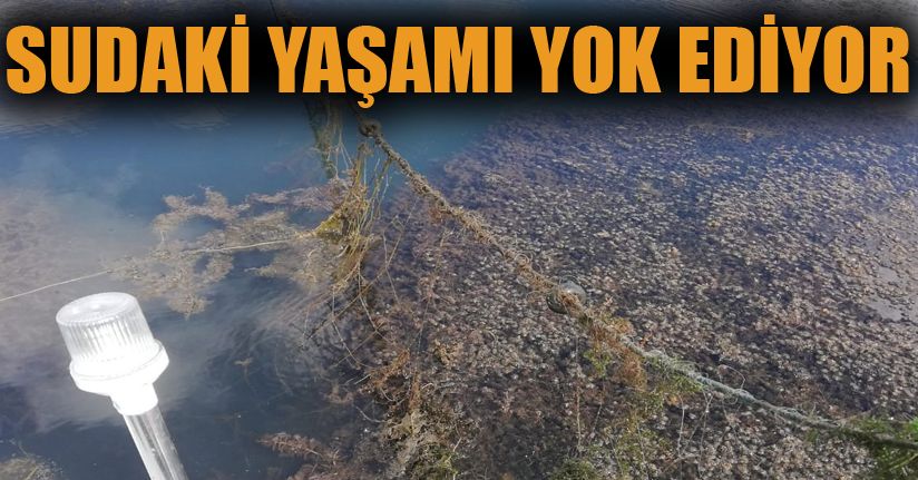 Taşlıyayla Göleti’nde 500 metre hayalet ağ bulundu