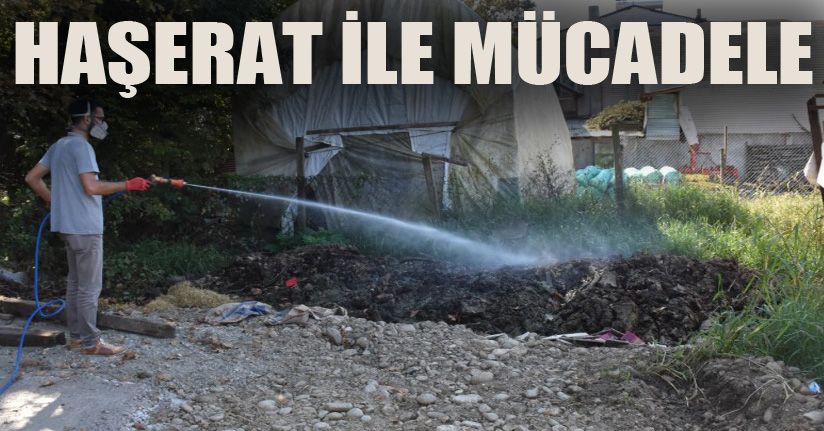 Kış Öncesi İlaçlama