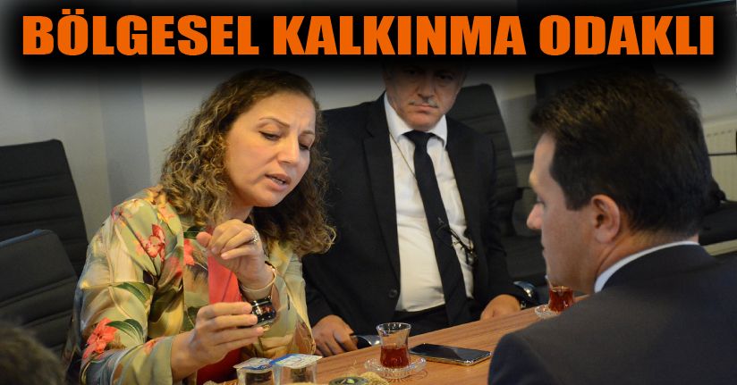 Bölgeye 20 milyon euroluk yatırım çektiler