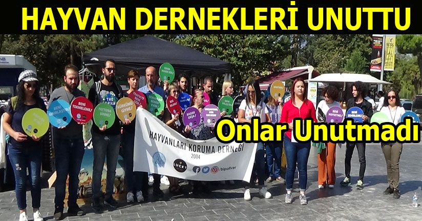 Çöplükte Yaşayan Hayvanlar Unutulmadı