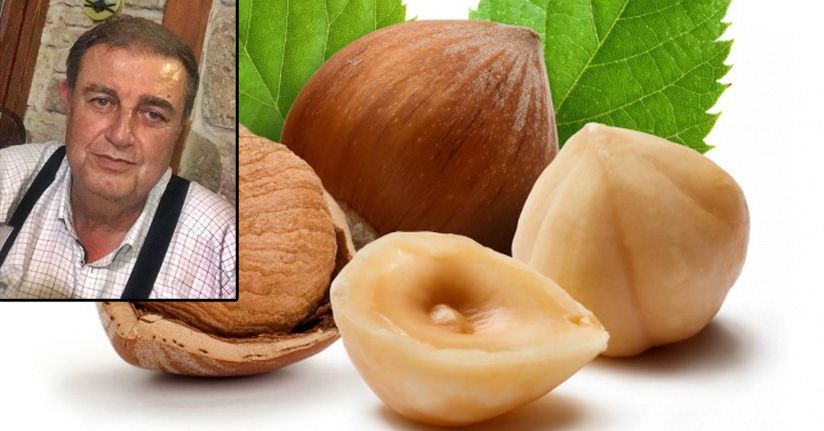 Fındık Üreticisinin Örgütlenmesi Hakkında