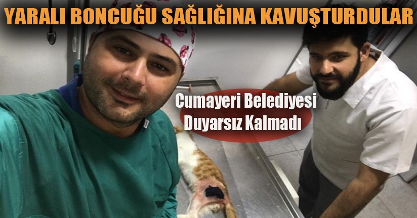 Yaralı boncuk ameliyat edildi