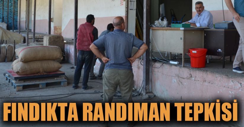 Fındıkta randıman tepkisi
