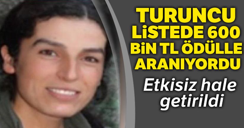 600 bin TL ödülle aranan terörist etkisiz hale getirildi