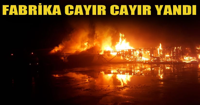 Parke fabrikasında yangın