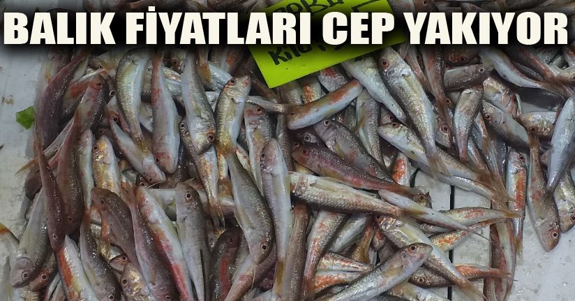 Tezgahta balık fiyatları arttı