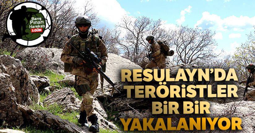 Resulayn'da teröristler bir bir yakalanıyor