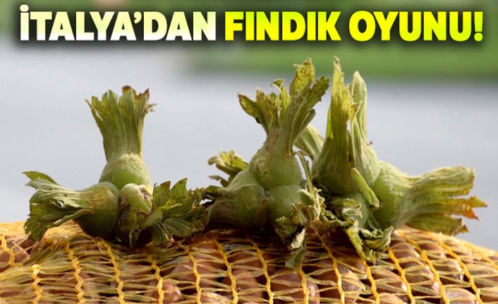 İtalya'dan fındık oyunu