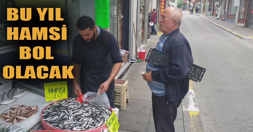 Karadeniz’de hamsi bolluğu