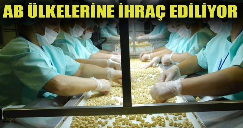8 bin 392 ton iç fındık ihraç edildi