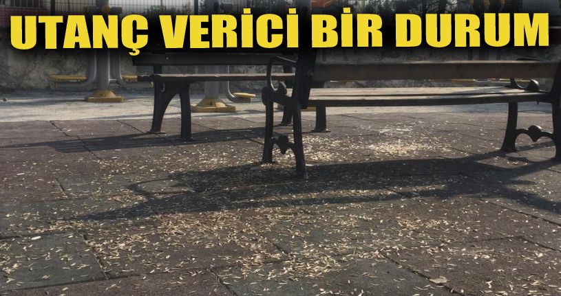 Parklardaki Pislik Ekipleri de Şaşırttı