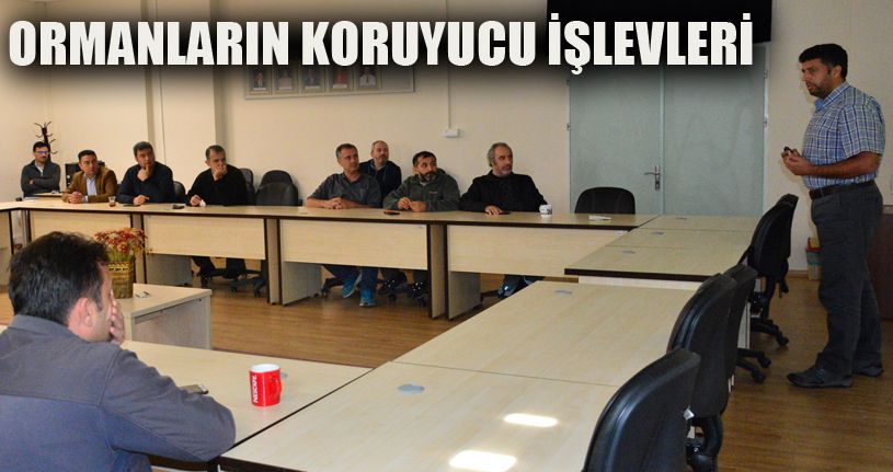 Taş ve Kaya Yuvarlanmalarına Karşı Ormanların Koruyucu İşlevleri Anlatıldı