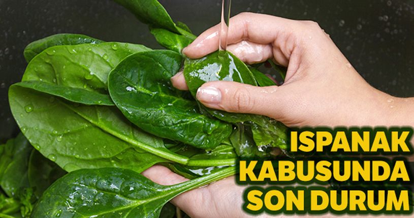 İl Sağlık Müdürlüğünden ıspanak zehirlenmelerine ilişkin açıklama