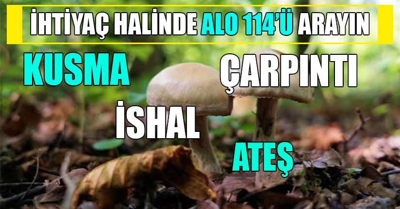 Valilik Zehirlenmelere Karşı Uyardı!