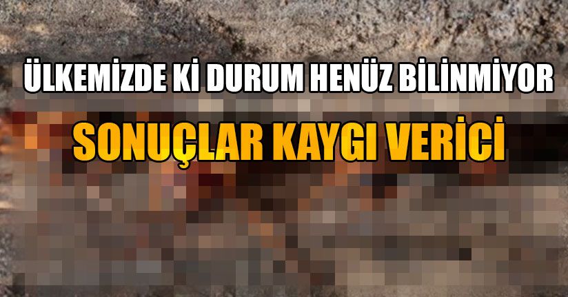 Sayıları Giderek Azalıyor