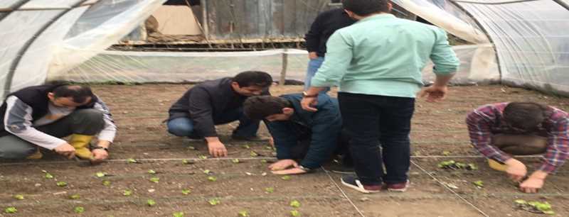 Düzce Üniversitesi öğrencilerinden organik tarım üretimi