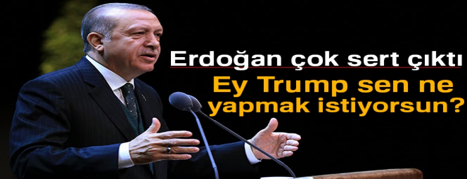 Erdoğan: 'Ey Trump sen ne yapmak istiyorsun?'