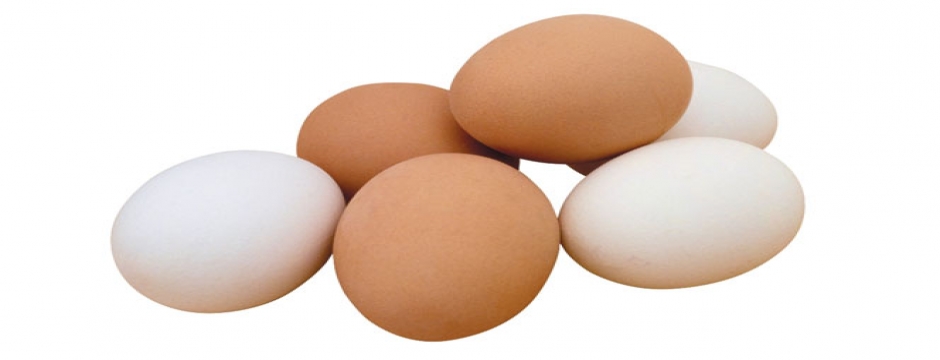 Tavuk yumurtası üretimi Kasım?da yüzde 0,4 azaldı
