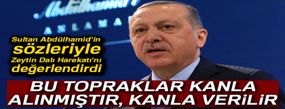 Cumhurbaşkanı Erdoğan, Sultan Abdülhamid?in sözleriyle Zeytin Dalı Harekatı'nı değerlendirdi