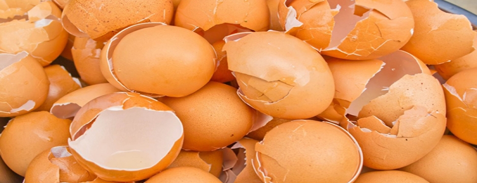Yumurta kabuğu zarı eklem ağrılarını azaltıyor