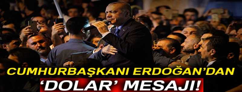 Cumhurbaşkanı Erdoğan'dan dolar açıklaması