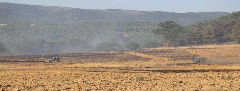 Tarım arazisinde başlayan yangında 15 hektar alan zarar gördü