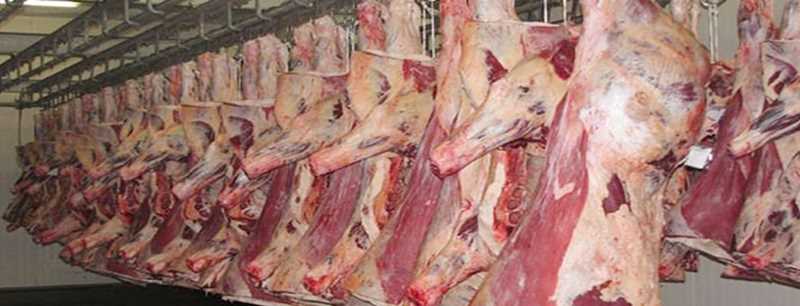 Yerli karkas et fiyatları 29 TL'den alınacak