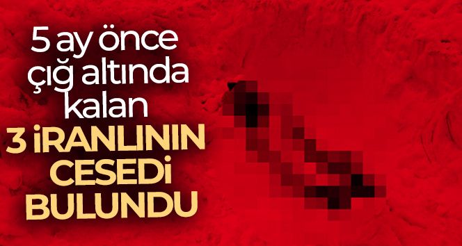 5 ay önce çığ altında kalan 3 İranlının cesedi bulundu